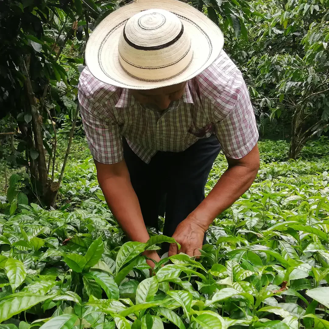 campesino-itshmust-experiences